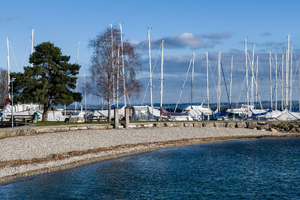 Traitement punaises de lit Thonon-les-Bains